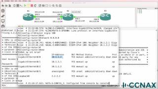 CCNA VLOG #002: Q&A: Loopback? What? Why? CCNA 120-125 questions