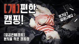 개편한 캠핑!이제 동계캠핑은 끝이겠지..지스토브 나중에 다시보자/듀랑고쉘터/지스토브/애견동반캠핑/동계캠핑/양평/분지울작은캠핑장