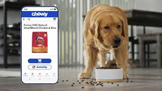 The Chewy App