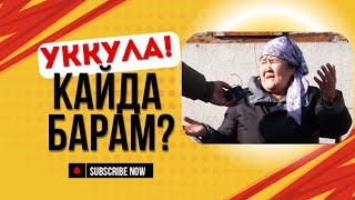 КЕМПИР БОЛГОНДО ҮЙСҮЗ КАЛДЫМ!