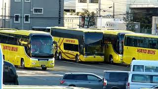 【アストロメガ④】はとバス「アストロメガ２号車」もうすぐデビュー？New Double decker bus in Tokyo Japan SCANIA VA