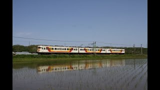 2021.5  新潟の１１５系  信越本線３３７１Ｍ　越後線１４１Ｍほか