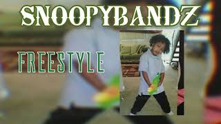 SnoopyBandz Freestyle (prod.MARV SO CHILL)