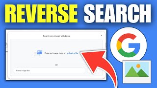 How To Reverse Search an Image on Google (Quick Guide)