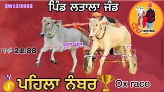 ਅੱਜ ਦੀ ਜੇਤੂ ਜੋੜੀ ਮੂਸਾ ਤੇ ਜੰਡ🐂ਪਿੰਡ ਲਤਾਲਾ ਜੰਡ॥ਲੁਧਿਆਣਾ॥ਟਾਈਮ22:34 ਤਾਰੀਖ29/12/22#oxraces #new #youtube