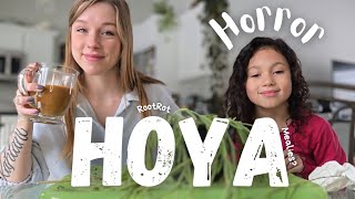 Time To Save The Hoyas I Neglected! | Hoya Horror Part 2