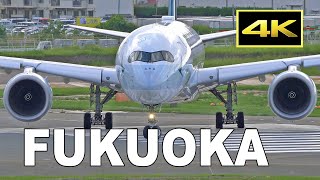 [4K] Plane Spotting on August 19, 2021 at Fukuoka Airport in Japan / 福岡空港 / Fairport