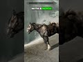 free horse early in skyrim