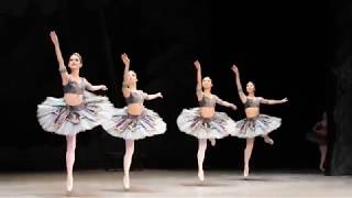 10th「 La Bayadère」～愛と死の先に～　Waseda Univ Ballet Circle Ciel