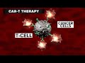 FDA approves breakthrough CAR-T therapy for leukemia FDA approves breakthrough CAR-T therapy for leukemia