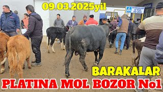 PLATINA MOL BOZOR BARAKALAR ZO‘R BO‘LDI NARXLAR OSMON BO‘MBA. 105.000 SO‘M TAROZIGA 😱😱