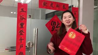 春节习俗 - 走亲访友     Chinese New Year custom - Visit families and relatives