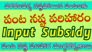 పంట నష్ట పరిహారం మార్గదర్శకాలు  Input Subsidy Guidelines