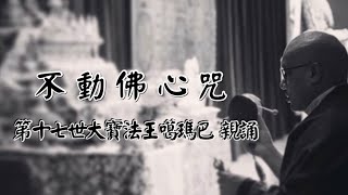 不動佛心咒 3遍                                            第十七世大寶法王噶瑪巴 持誦#大寶法王噶瑪巴#不動佛心咒