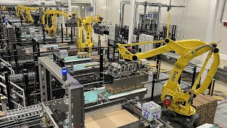 Ep. 3 - High automation \u0026 modularity for Unilever central palletizing installation