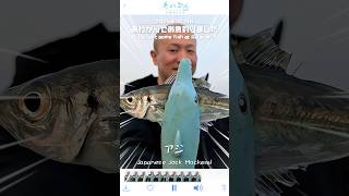 2025年1月22日あわかんでお魚釣りましたー♪IN淡路島