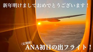 【元日✈️】初日の出フライト(定期便)に乗ってきた！チェロも一緒に搭乗！福岡発→羽田行〈2025.1-1〉