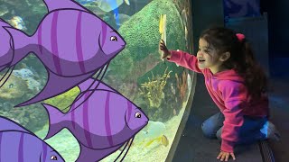 Lil Jaz at funny indoor museum and baby shark aquarium