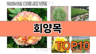 요즘 많이 팔린 회양목 추천 Top10