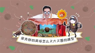 怎么才能把粑粑滚得又大又圆？来跟“驾屎员”沉浸式学习！