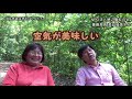 美延睦美さんが語る世界自然遺産➀ 徳之島 奄美群島 島人まるちゃんねる まるちゃん 世界自然遺産登録 まるちゃんねる始まります