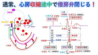 心電図：暗記からの卒業 80話 房室ブロックと大砲音