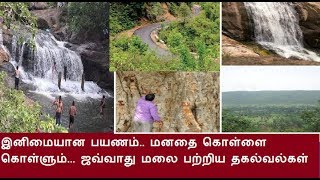 இனிமையான பயணம்.. மனதை கொள்ளை கொள்ளும்... ஜவ்வாது மலை பற்றிய தகல்வல்கள்