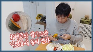 다이어트 3 - 10일동안 샐러드만 먹었을때 몸의 변화!! - 10kg 절식 실험