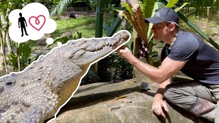 Rescued Crocodile Remembers Chris TWO YEARS LATER!