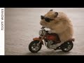 making a getaway