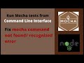 Mocha run tests from Command Line Interface - CLI
