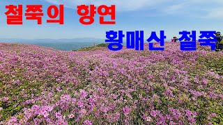 5월 철쭉의 대향연 황매산 철쭉산행 ㅣ황매산 철쭉제 ㅣ