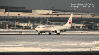 黄金色に染まる機体が美しい　JAL/JEX Boeing737-800 JA326J