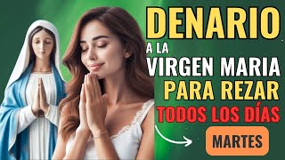 Denario del Santo Rosario | Martes de Oración | Por los Enfermos Terminales y sus Familias 🏥