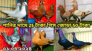 পানির দামে জোড়া মাত্র ৫০ টাকা সবচেয়ে কমদামে জোড়া ১০০ টাকা পাইকারি দামে কবুতর কিনুন