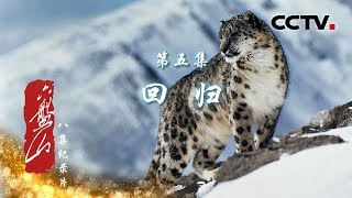 《六盘山》第五集 回归 | CCTV纪录