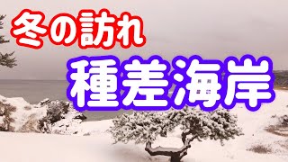 【種差海岸】青森県八戸市 種差海岸冬景色