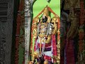 Tirupati balaji temple morning aarti darshan #india #tirupati #travel #temple #ayodhya #astrology