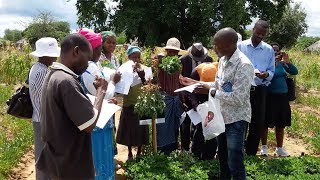 Informing Decision Makers of Impacts on Agriculture in a Changing Climate