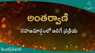 అంతర్వాణి | సహజమార్గంలో జరిగే ప్రక్రియ | Heartfulness Telugu | 28-10-2024