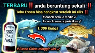 TERBARU‼️ cara membuat Essen 1.000 bunga