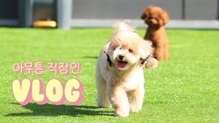 [아프니까 청춘인 vlog.] 병가 끝난 직장인의 방사선 치료 시작 | APT. 중독증 | 주말 브런치 | 할로윈 막차타기 🎃