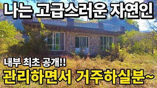 관리하면서 거주하실분 찾아요~ 즐거운 전원 자연생활~ 내부공개!! 지금 같이 어려운 시기에 딱 맞는 주택 10초거리 저수지 대지 196평 주택50평~