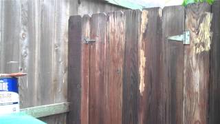 Painting fence with Rust-Oleum Restore Deck Start Wood Primer