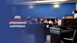 კომიტეტების ერთობლივი სხდომა - 15.05.2023