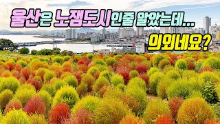 요즘 가면 좋은 울산의 당일치기 가을여행지 3곳을 소개해 드립니다.