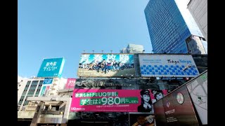 【4K散歩動画】Walkking around  Shibuya Station 渋谷駅再開発中　周辺ぐるり一周散歩　YI4＋で撮影４K60p