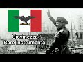 giovinezza italian social republic anthem rare instrumental