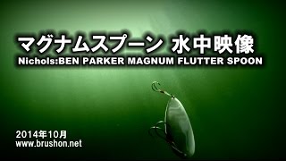 マグナムスプーン水中映像/琵琶湖・Nichols:BEN PARKER MAGNUM FLUTTER SPOON