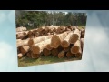 finest selection of top quality lumber products